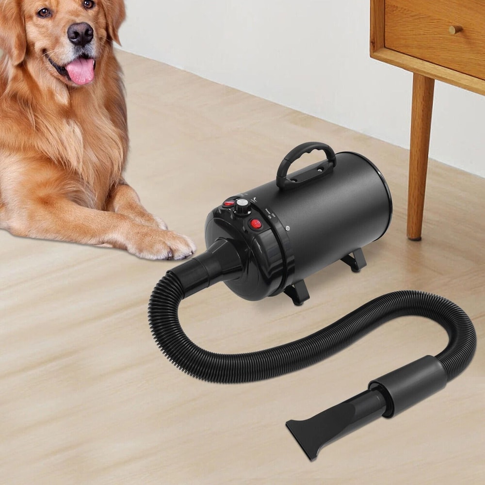 Professional Pet Hair Dryer For Dogs Cats With Adjustable Speed Temperature Low Noise 4 Nozzles 2