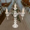 Elegant Arm Crystal Candle Holder Decorative Centerpiece 0