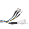 High Torque Electric Bike Rear Hub Motor Brushless Gearless E Bike Drive 5