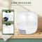 Premium 6 Grid Rice Dispenser Food Storage Container 360 Rotating Kitchen Organizer With Lid 11