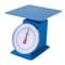 Industrial Heavy Duty Mechanical Dial Food Scale Portion Control 6