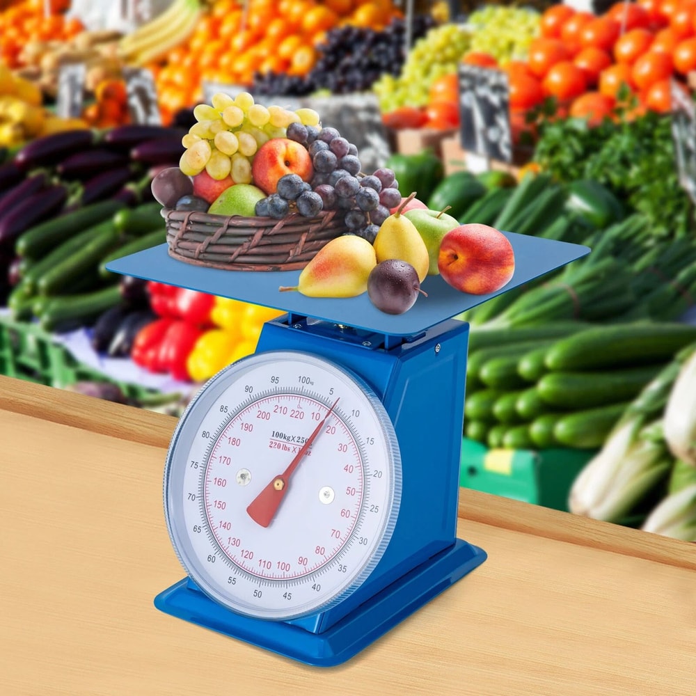Industrial Heavy Duty Mechanical Dial Food Scale Portion Control 9