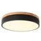 Modern Dimmable LED Ceiling Light Flush Mount LED Fixture Indoor Lighting 1