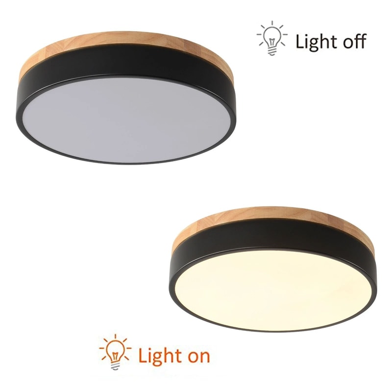Modern Dimmable LED Ceiling Light Flush Mount LED Fixture Indoor Lighting 4