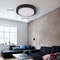 Modern LED Ceiling Light Acrylic Flush Mount Fixture For Living Room Bedroom Kitchen 10