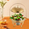 Gold Round Chafing Dish With Hanging Lid Buffet Food Warmer 7