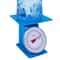 Industrial Mechanical Dial Scale Heavy Duty Weighing Scale For Kitchen Business 6