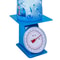 Industrial Mechanical Dial Scale Heavy Duty Weighing Scale For Kitchen Business 6