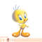 Looney Tunes Tweety Bird Airbrushed PNG Download.jpg
