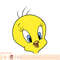 Looney Tunes Tweety Bird Big Face PNG Download.jpg