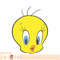 Looney Tunes Tweety Bird Big Face Smile PNG Download.jpg