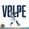 Anthony Volpe, Swing, New York Baseball PNG Download.jpg