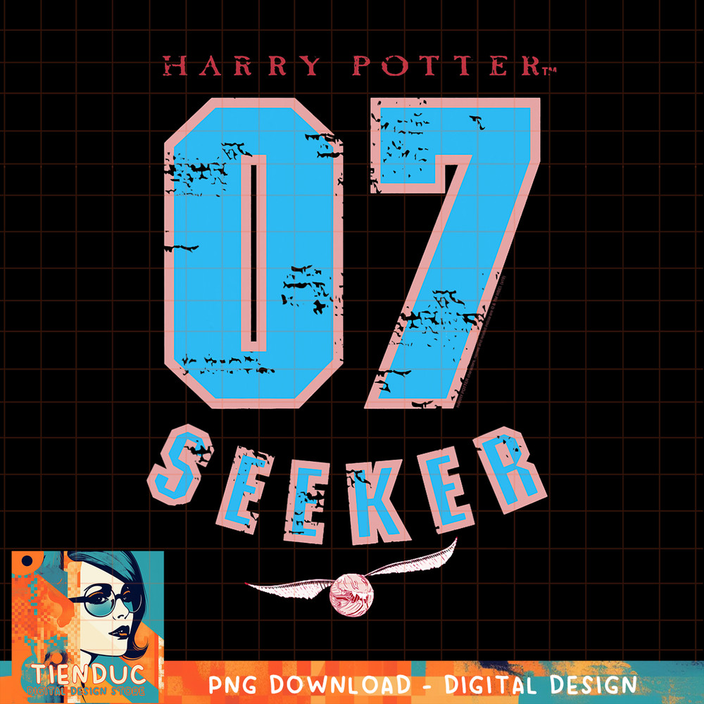 Harry Potter 07 Quidditch Seeker PNG Download.jpg