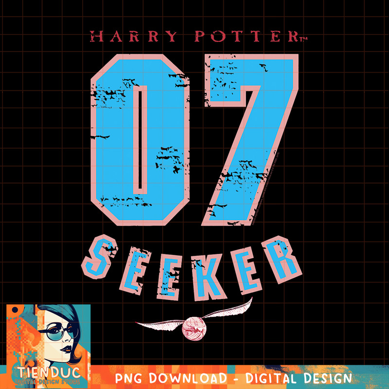 Harry Potter 07 Quidditch Seeker PNG Download.jpg