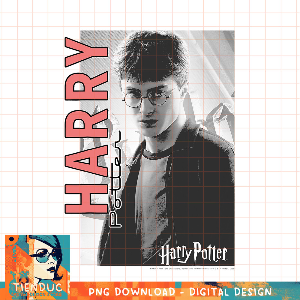 Harry Potter Character Poster PNG Download.jpg