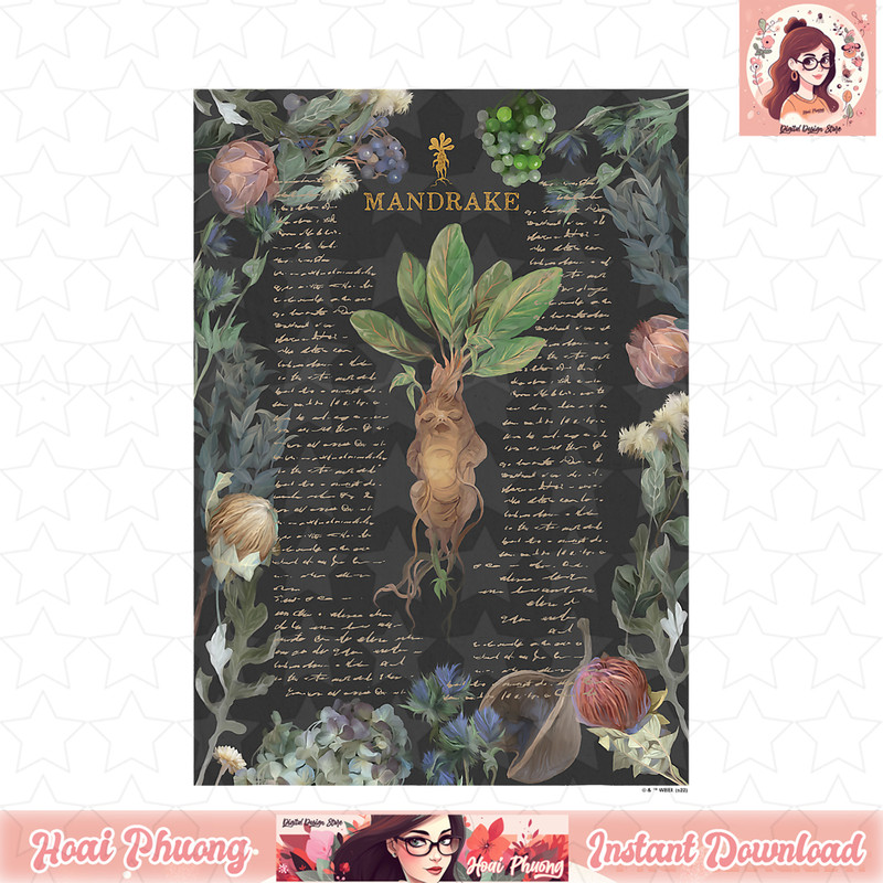 Harry Potter Deathly Hallows 2 Mandrake Floral Description PNG Download copy.jpg