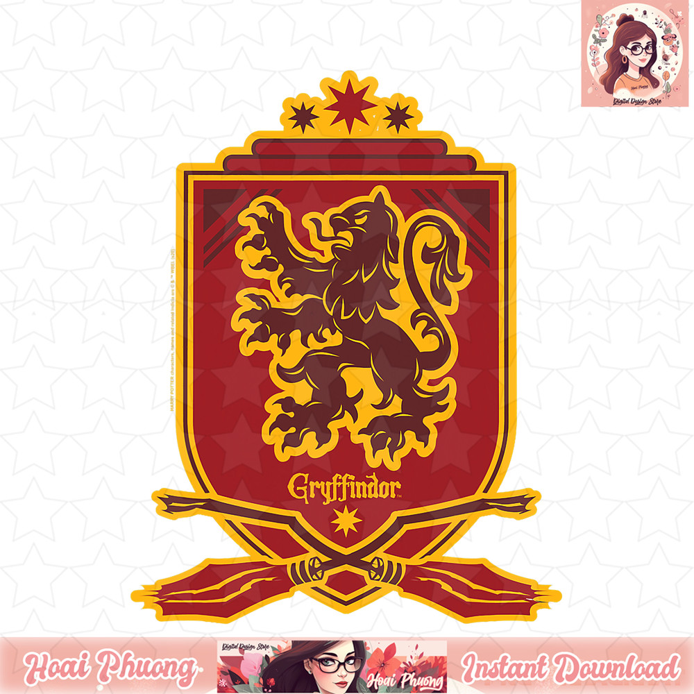 Harry Potter Gryffindor Broomstick Badger Logo T-Shirt .jpg
