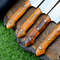 Custom Handmade D2 Steel Blades Kitchen Knife Set Chef Knives Set with Stylish Resin Handle 6