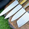 Custom Handmade D2 Steel Blades Kitchen Knife Set Chef Knives Set with Stylish Pakka Wood Handle 2