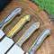 Custom Handmade D2 Steel Blades Kitchen Knife Set Chef Knives Set with Stylish Pakka Wood Handle 3