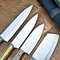 Custom Handmade D2 Steel Blades Kitchen Knife Set Chef Knives Set with Stylish Pakka Wood Handle 5