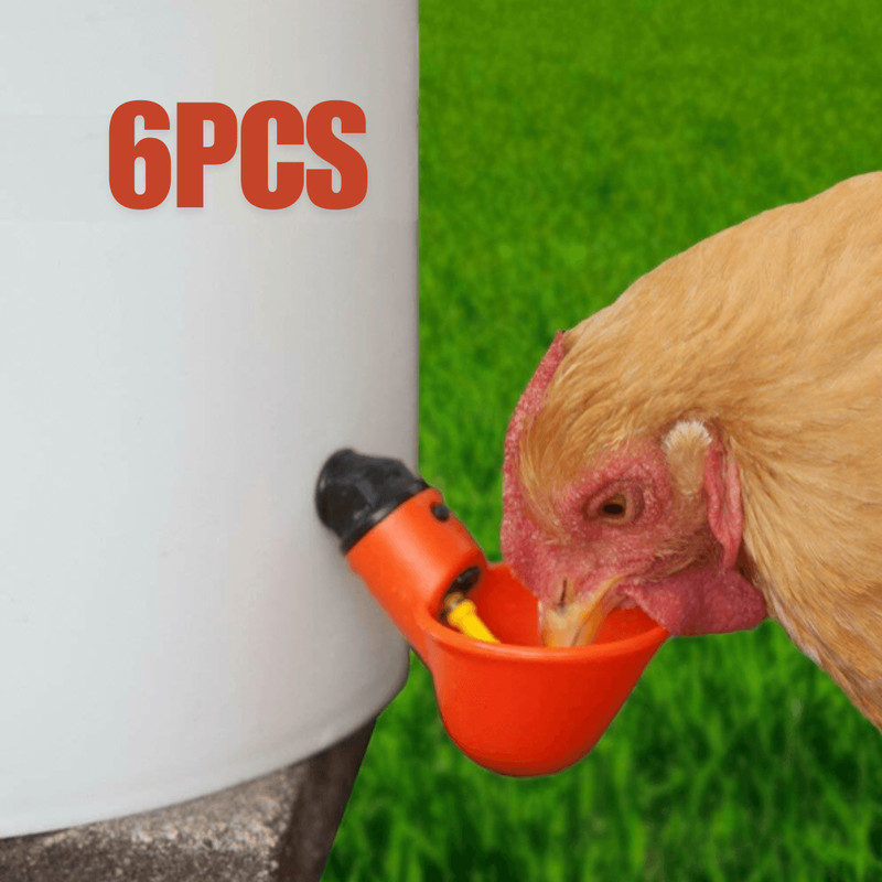 6x Chicken Automatic Watering Cups Drinker Waterer For Duck Quail Hen Poultry Automatic Chicken Wat 0