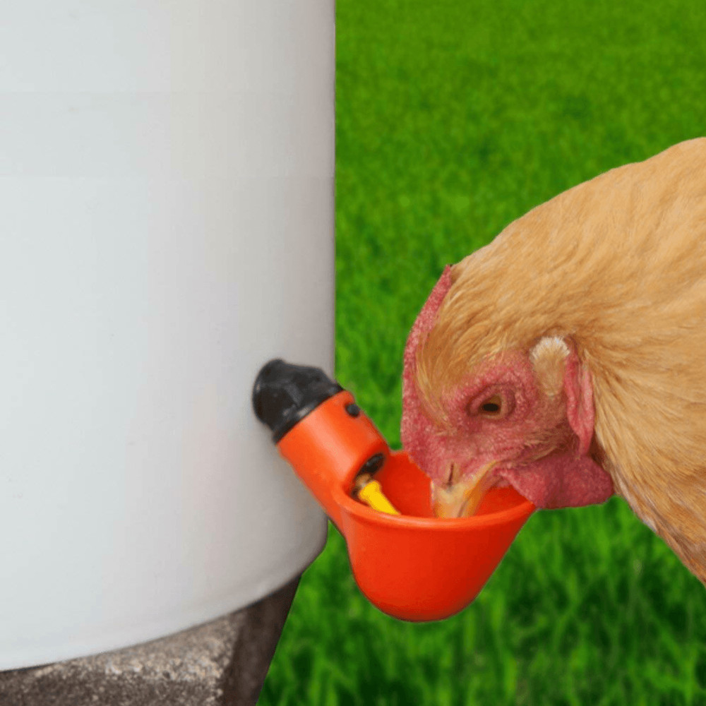 48x Chicken Automatic Watering Cups Automatic Chicken Water Cups Drinker Waterer For Duck Quail Hen 6