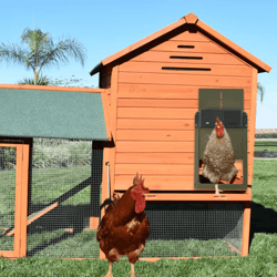 automatic chicken coop door with timer – electric chicken run door
