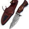 Custom Handmade Damascus Steel Knife Hunting Knife Camping Knife Buffalo Horn Handle Gift For Men 4