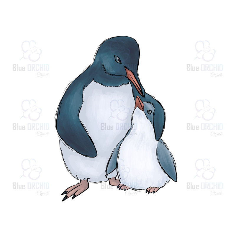 Cute Penguin Sublimation Design Png Download 0