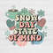 Winter PNG Bundle Cozy Snowflake Clipart Pack Christmas Hot Cocoa Sublimation Graphics Holiday Aest 8