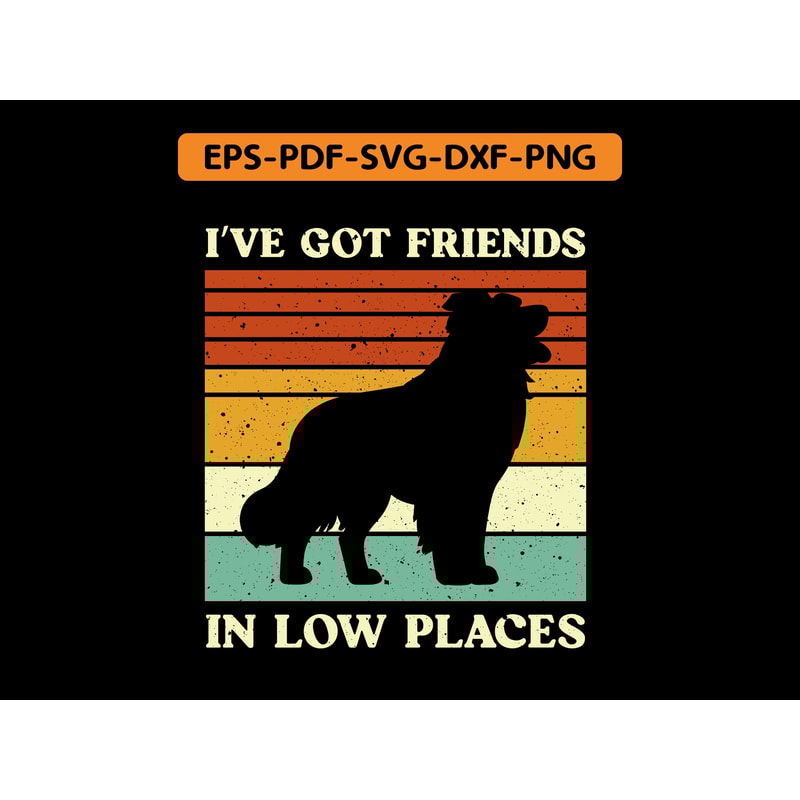 Border Collie T Shirt 0