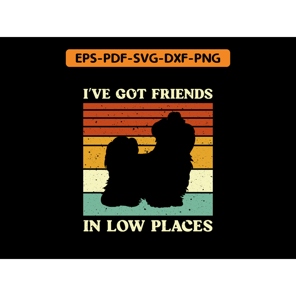 Biewer Terrier T Shirt 0