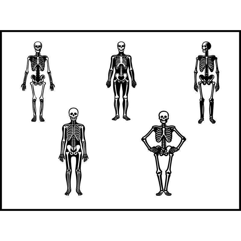 Standing Still Skeleton Svg Bundle 1