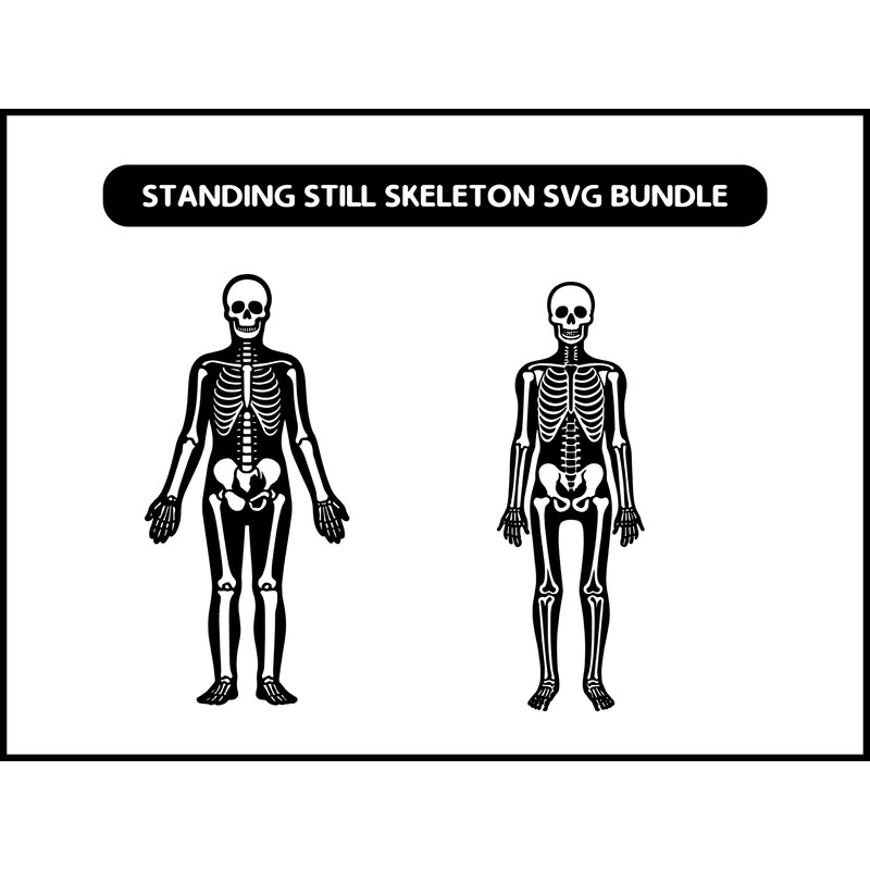 Standing Still Skeleton Svg Bundle 2