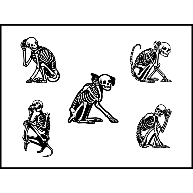 A Skeleton Scratching Ear With Hind Leg Svg Bundle 1