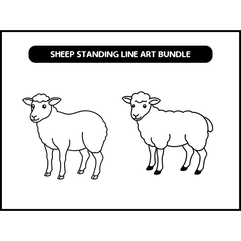 Sheep Standing Line Art Bundle 2