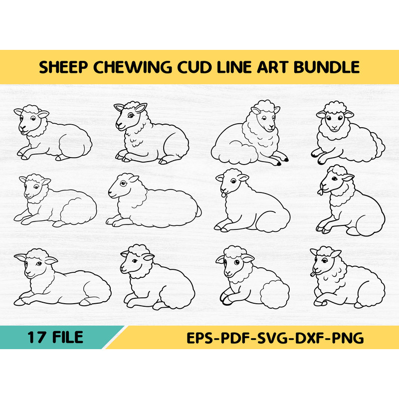 Sheep Chewing Cud Line Art Bundle 0