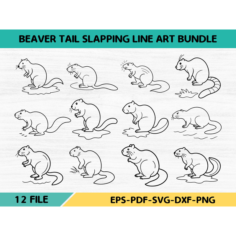 Beaver Tail Slapping Line Art Bundle 0