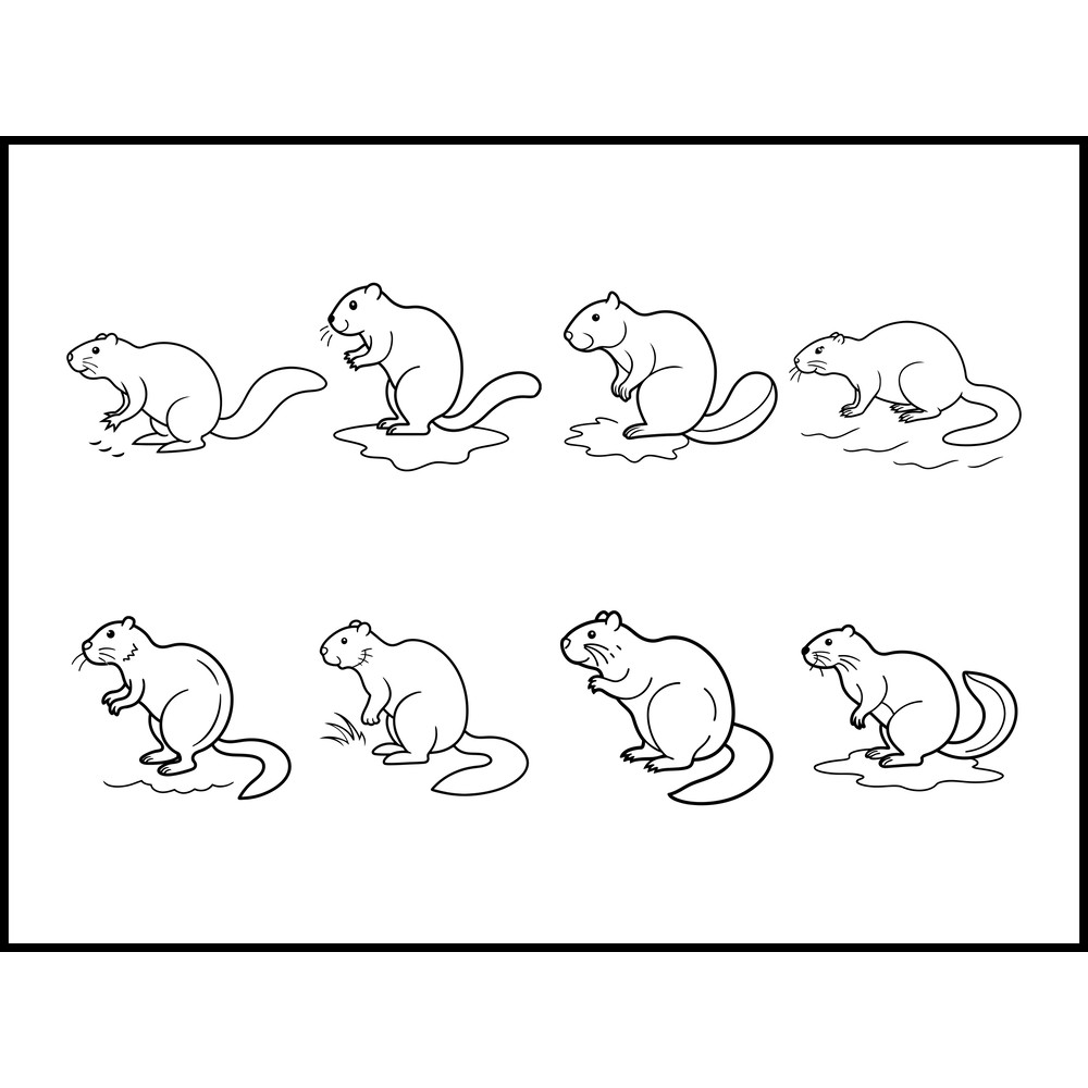 Beaver Tail Slapping Line Art Bundle 1