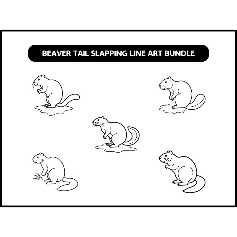 Beaver Tail Slapping Line Art Bundle 2