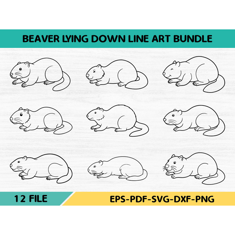 Beaver Lying Down Line Art Bundle 0