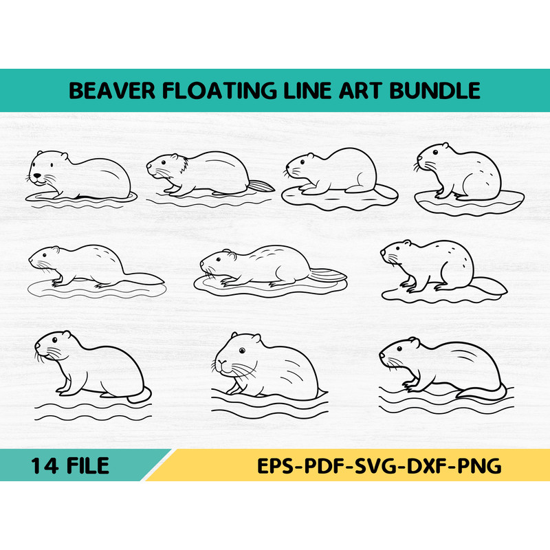Beaver Floating Line Art Bundle 0
