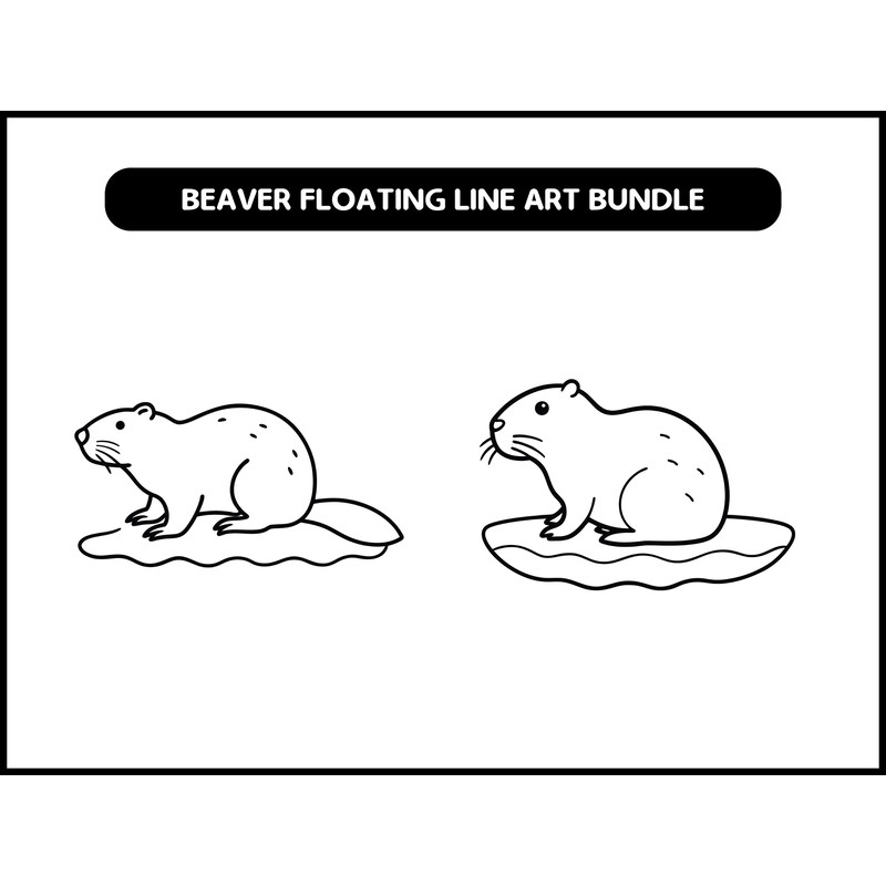 Beaver Floating Line Art Bundle 2