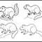 Beaver Climbing Line Art Bundle 1