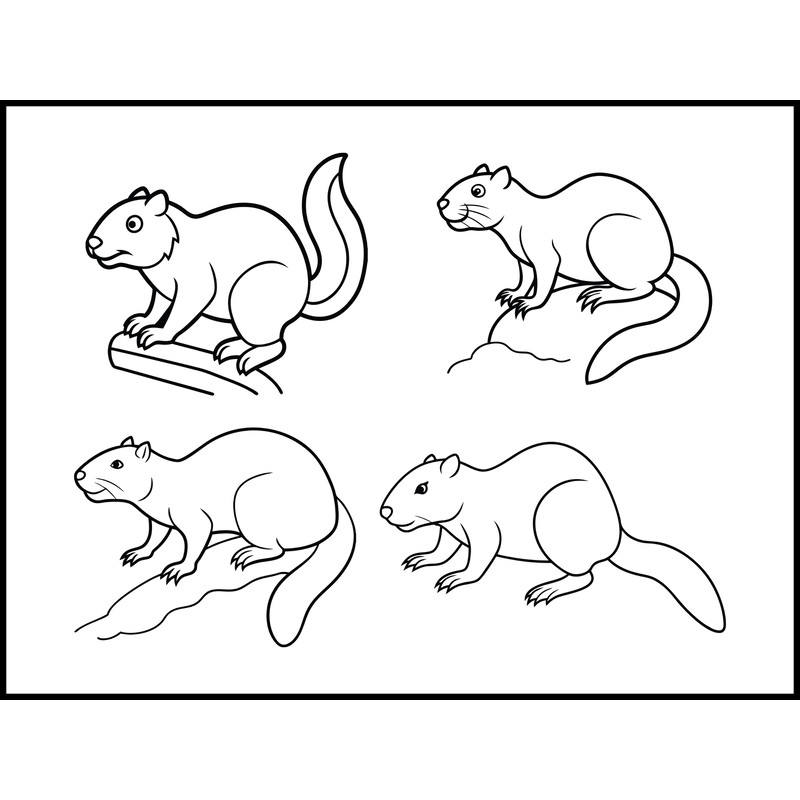 Beaver Climbing Line Art Bundle 1