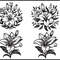 Lillies Svg 1