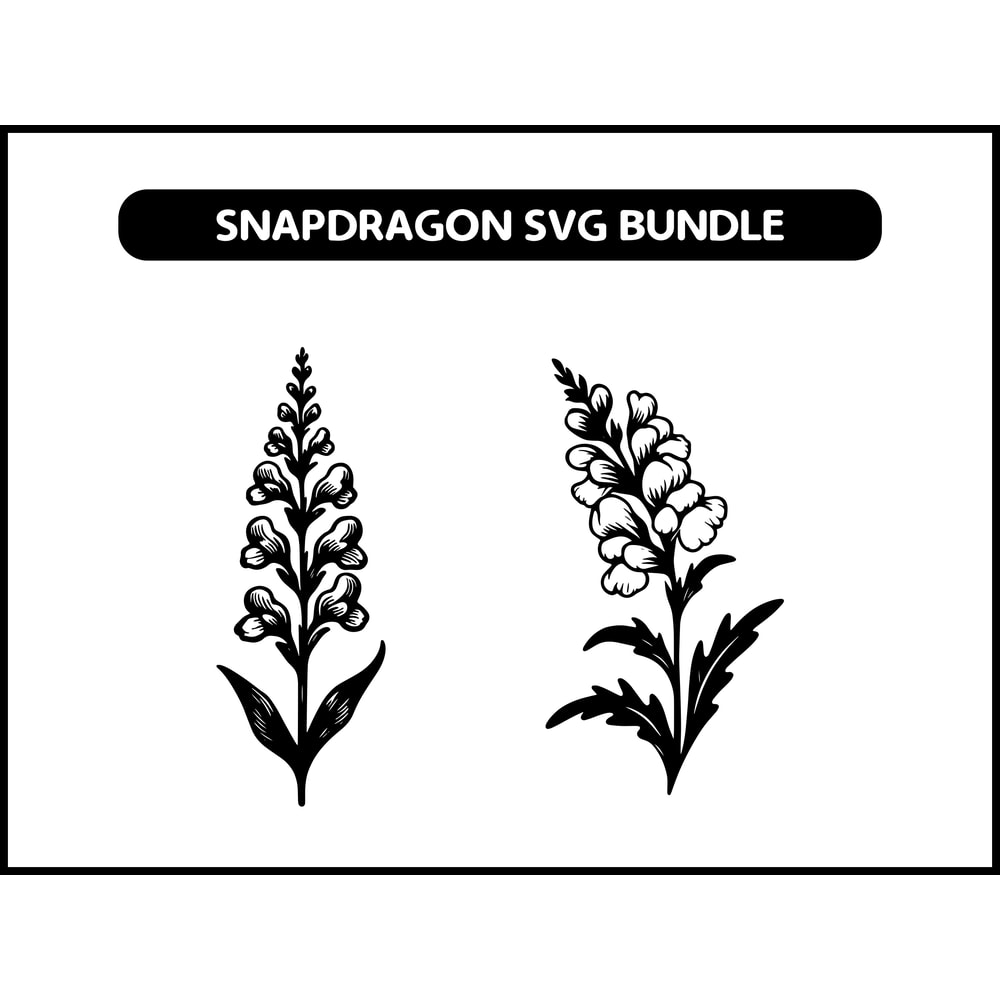 Snapdragon Svg Bundle 2