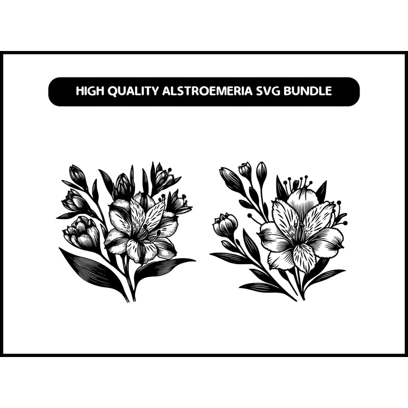 High Quality Alstroemeria SVG Bundle 2