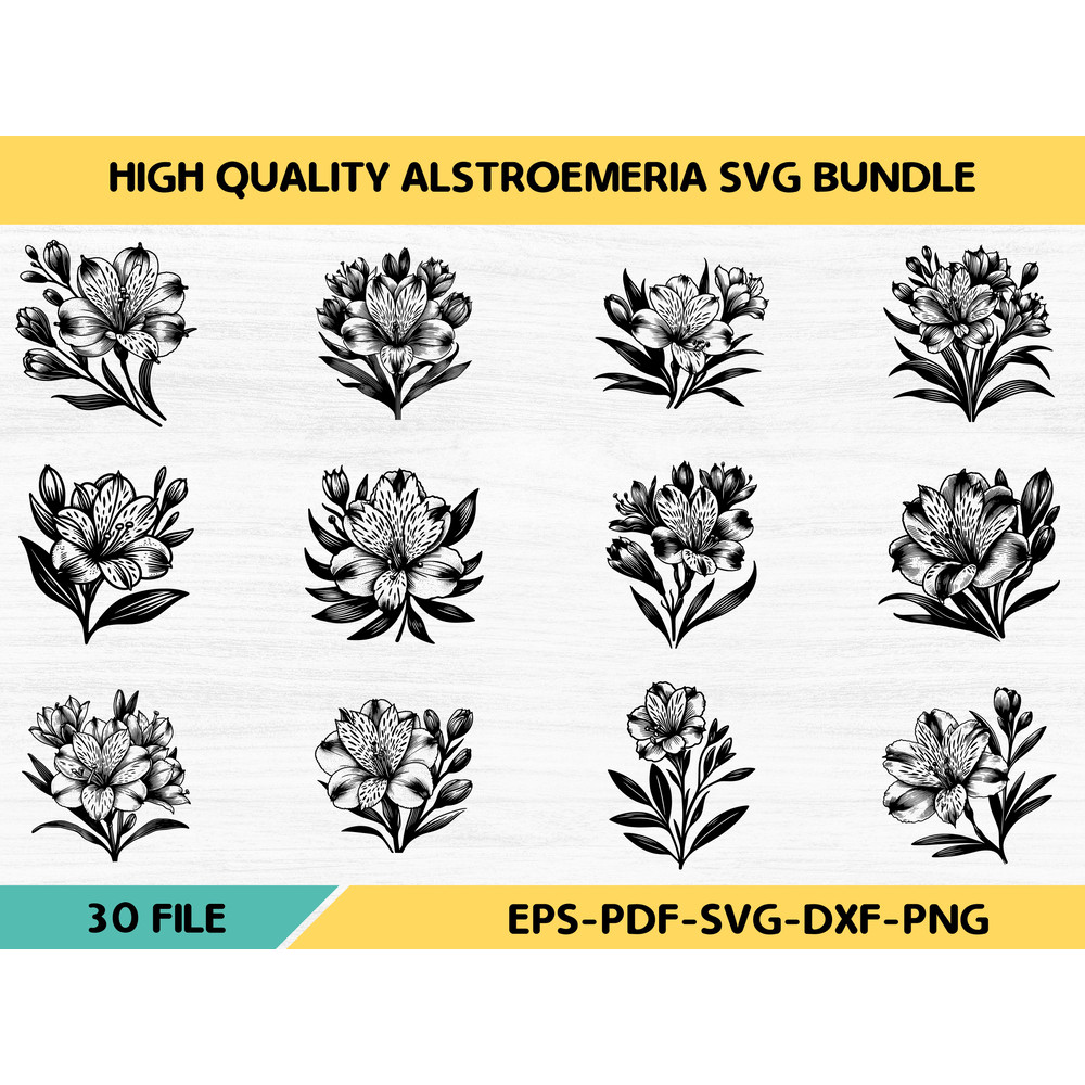 High Quality Alstroemeria SVG 0